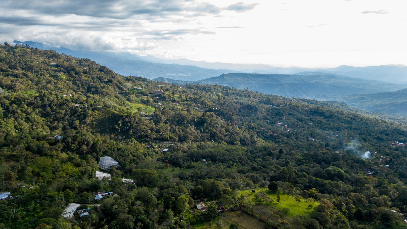 The people behind La Palma & El Tucán