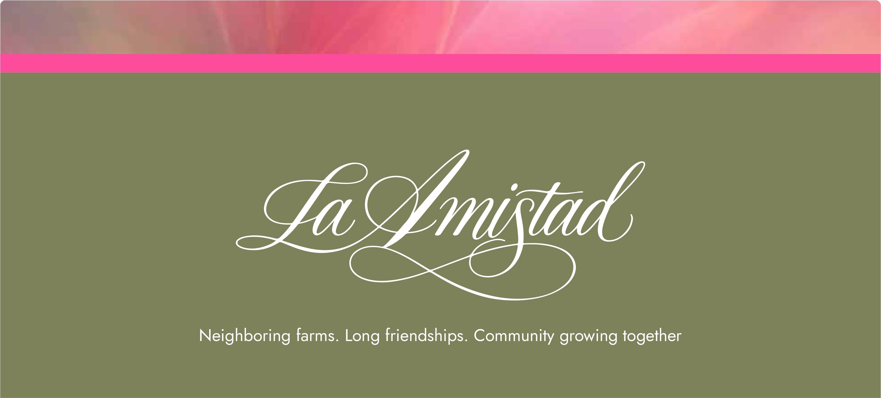 La Amistad: collaborative coffee with neighboring families in Huila