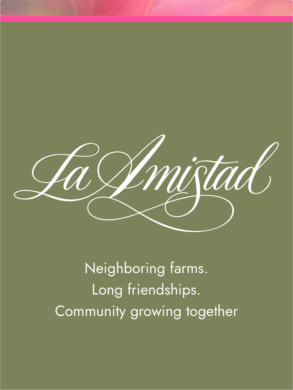 La Amistad: collaborative coffee with neighboring families in Huila