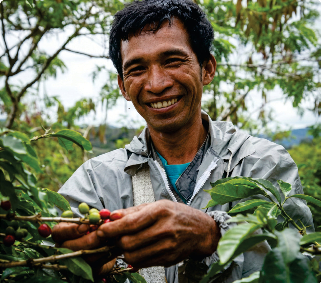 La Amistad: collaborative coffee with neighboring families in Huila