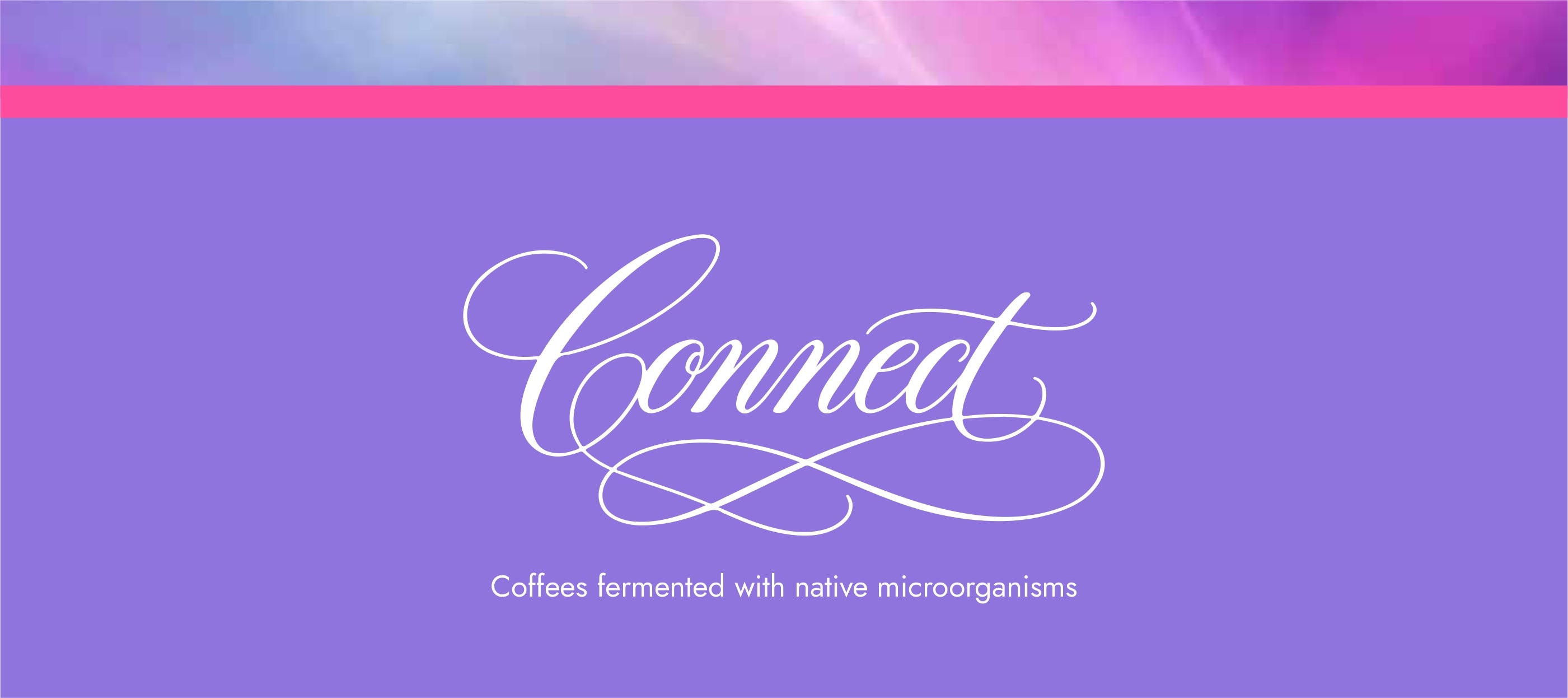 Connect: estate-grown nano-lots from La Palma & El Tucán
