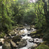 Creek & Forest Ambience — recorded at La Palma & El Tucán, Zipacón, Colombia