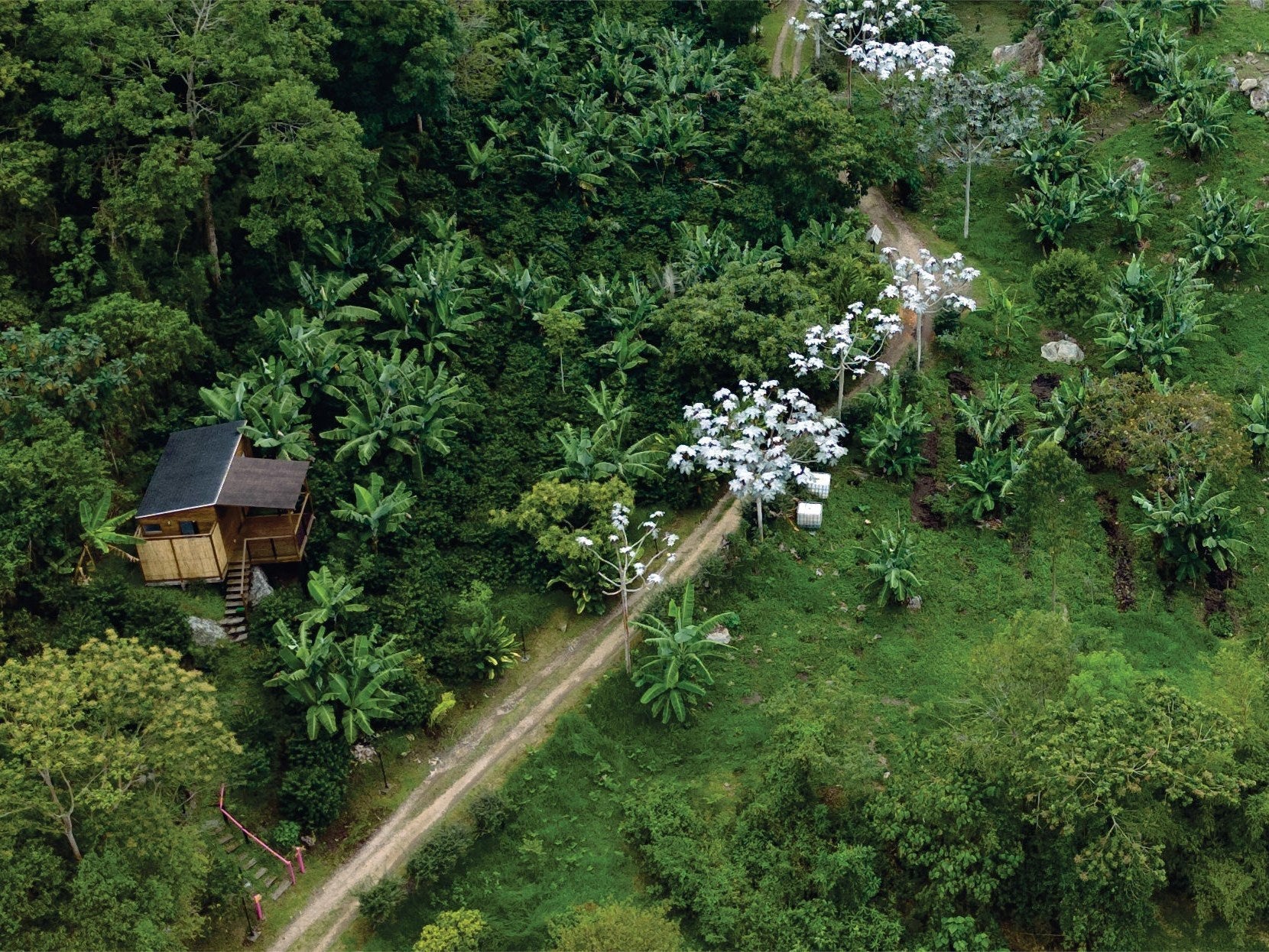 Aerial view of the hotel cabins among the coffee lots at La Palma & El Tucán