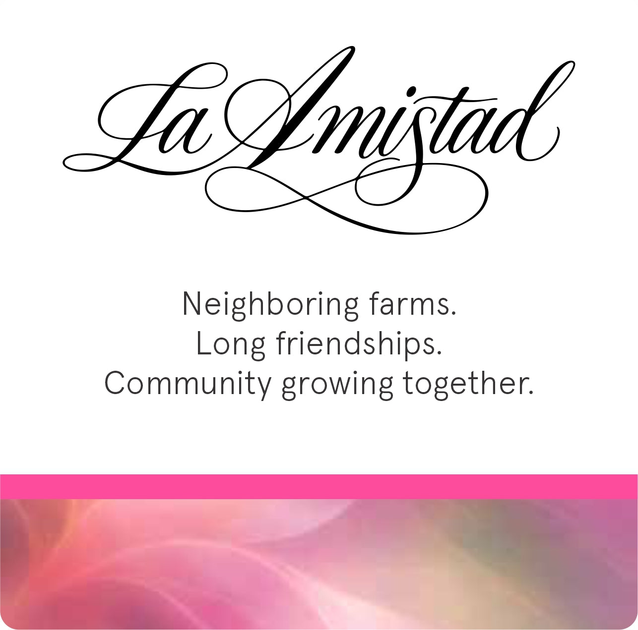La Amistad: collaborative coffee with neighboring families in Huila