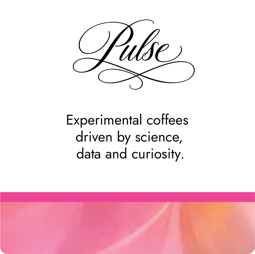 Experimental fermentation at La Palma & El Tucán