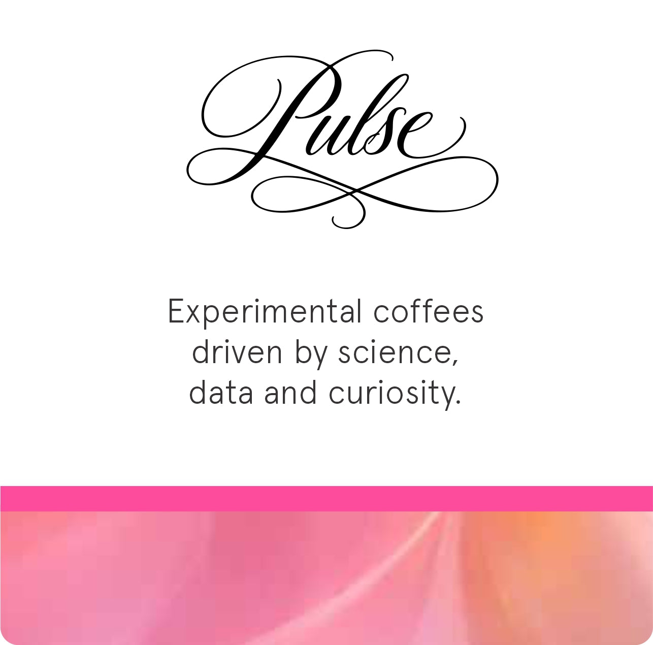 Experimental fermentation at La Palma & El Tucán