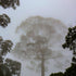 Meditation Chachafruto — recorded at La Palma & El Tucán, Zipacón, Colombia